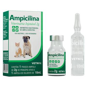Ampicilina Injetável Antibiótico Bactericida - 2 g