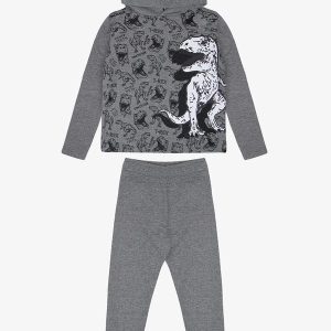 Conjunto Infantil Masculino Dino Cinza
