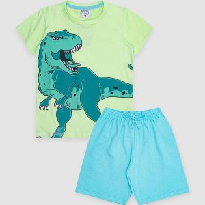Conjunto Infantil Meia Malha/Moletom Dino Verde