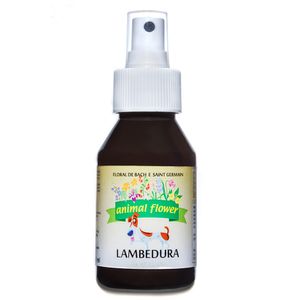Floral Vet Spray Lambedura Psicogênico Animal Flower - 100ml
