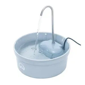 Fonte Bebedouro e Purificador Aqua Porcelain Amicus Bivolt Cinza - Único