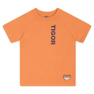 Camiseta Menino Tigor T. Tigre Laranja