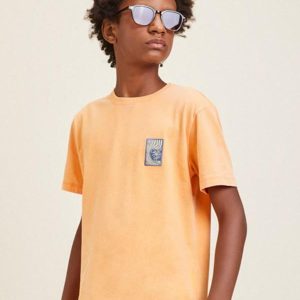 Camiseta Laranja com Estampa Laranja