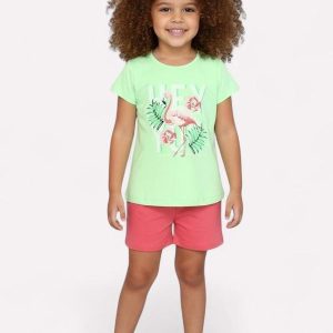 Conjunto Infantil Menina Flamingo Verde